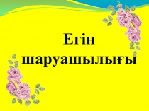Қызықты ертегілер. Дәнді дақылдар 4 сынып