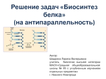 Презентация по биологии на тему Решение задач Биосинтез белка (антипараллельность)