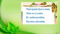 Внеурочное занятие по теме Животные, которых мы не любим