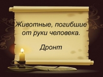 Животные, погибшие от руки человека