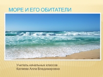 Презентация Море и его обитатели
