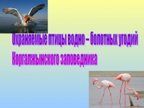 Презентация по биологии птицы водных угодий коргальджинского заповедника