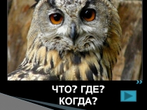 Презентация по экономике: игра  Что?Где?Когда?