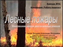 Внеклассное занятие. Лесной пожар.