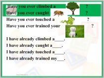 Презентация по английскому языку на тему English in use(7 класс)