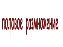 Презентация по биологии на тему: Половое размножение