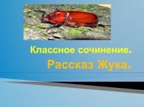 Русский язык. Классное сочинение Рассказ Жука.