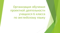 Организация обучения проектной деятельности учащихся 6 класса по английскому языку