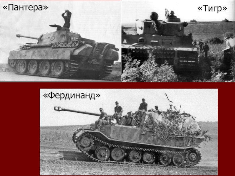 Презентация к выступлению по теме: Курская Дуга «Фердинанд»«Пантера»«Тигр» «Фердинанд»«Пантера»«Тигр»