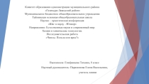 Чипсы. Польза или вред