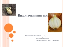 Видоизменения побегов