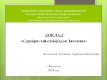 Презентация Серебряный самородок Закамны