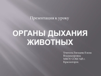 Презентация к уроку по теме Органы дыхания у животных. 6 класс. УМК Сфера жизни Н.И. Сонин
