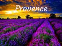 Прованс (регион во Франции)