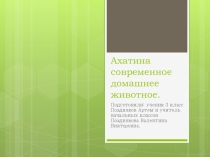 Презентация исследовательской работе на тему Ахатина современное домашнее животное.