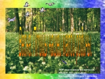 Электронный образовательный ресурс Весна. Птицы нашей малой родины