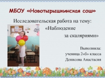 Презентация к исследовательской работе Наблюдение за скаляриями