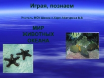 Презентация по биологии Мир животных океана