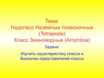 Презентация по теме:Класс Земноводные