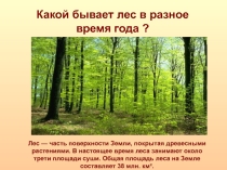 Презентация.Какой бывает лес в разные времена года