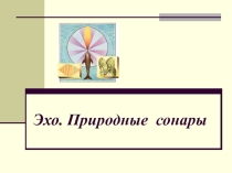 Презентация к элективному курсу по физике на тему Эхо. Природные сонары (9класс)