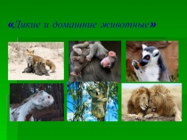 Презентация к уроку Использование ИКТ для контроля знаний обучающихся как элемента оценки качества образования