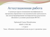 Исследовательская работа Влияние загрязнённой воды на рост и развитие лука