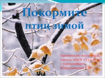 Презентация  Покормите птиц зимой