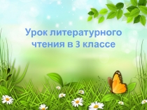 Презентация по литературному чтению Г.Х. Андерсен Гадкий утёнок