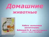 Домашние животные
