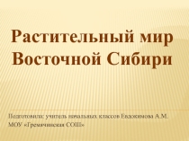 Презентация к ДОП Земля - наш общий дом Тема: Растительный мир Восточной Сибири