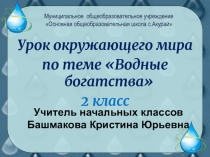 Презентация урока Тема: Водные богатства