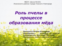 Презентация по окружающему миру Роль пчелы в образовании меда