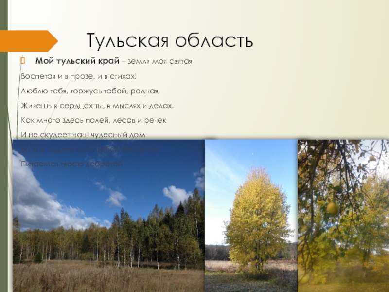 Презентация к проекту Красота природы России Тульская областьМой тульский край – земля моя святая Воспетая и в Тульская областьМой тульский край – земля моя святая Воспетая и в прозе, и в стихах!Люблю тебя, горжусь