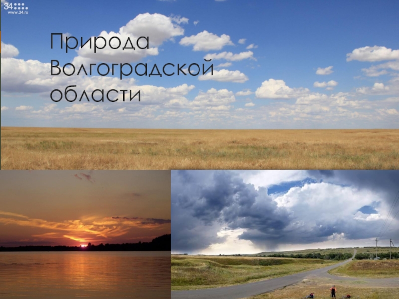 Презентация к проекту Красота природы России Природа Волгоградской области Природа Волгоградской области