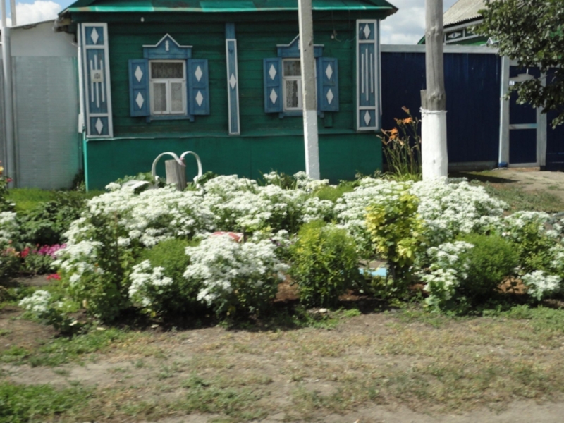 Презентация к уроку окружающий мир в 1 классе на тему Родной край, где ты живёшь.