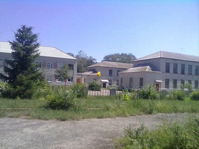 Презентация к уроку окружающий мир в 1 классе на тему Родной край, где ты живёшь.