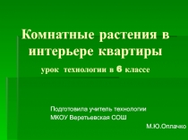 Презентация по технологии 6 класс на тему Комнатные растения в интерьере квартиры