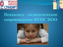 Психолого-педагогическое сопровождение (2 класс)