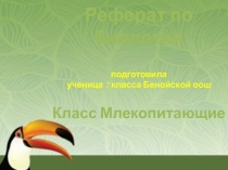Реферат по биологии на тему Млекопитающие