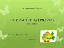 Экологический проект на тему Что растет на грядке?