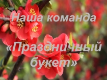 Презентация к конкурсу А ну-ка девочки