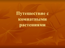 Презентация для кружка цветоводства.