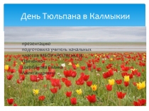 Презентация к классному часу День Тюльпана в Калмыкии