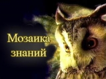 Презентация Игра Мозаика знаний