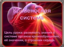 Кровеносная система