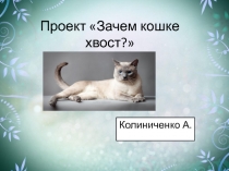 Презентация Зачем кошке хвост ( для детей 5-7 лет).
