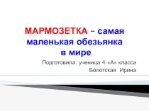 Презентация по окружающему миру на тему Мармозетка (4 класс)