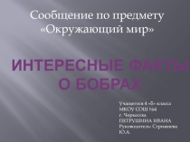 Презентация по предмету Окружающий мир Интересные факты о бобрах