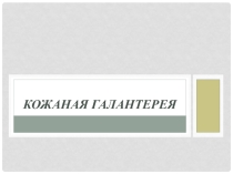 Презентация по МДК 01.01 Кожаная галантерея